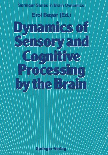 【预订】dynamics of sensory and cognitive pr.