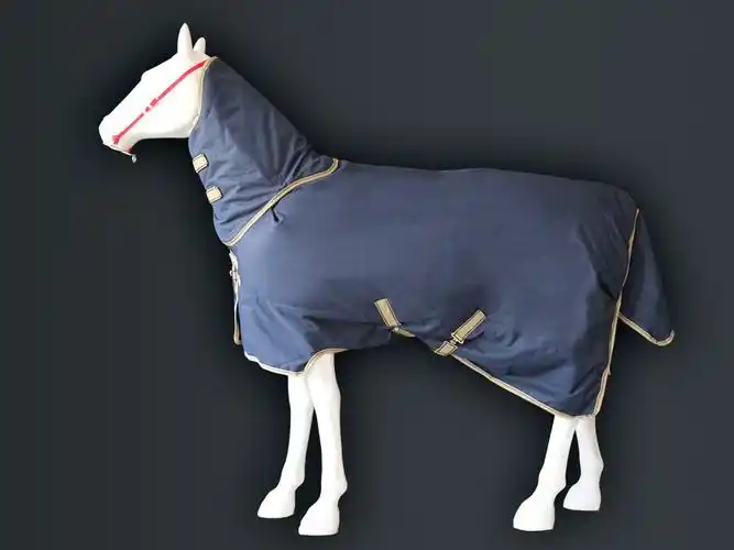 possession of blue horse clothing