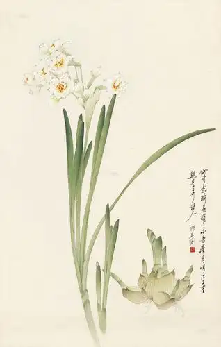 0041水仙花镜片设色纸本