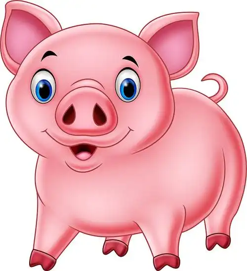 卡通快乐猪孤立在白色的背景图片