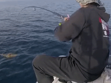 出发到海上钓鱼,鱼在水中,看着不大,拿出水面一看,真是惊喜