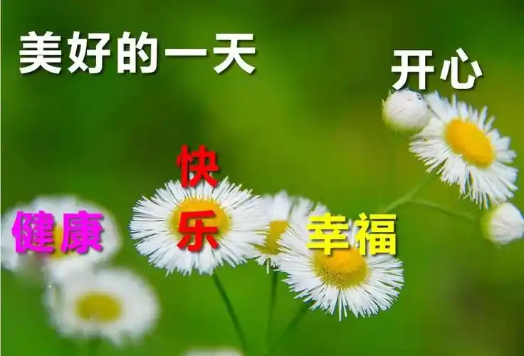 原创冬天最美丽早安问候语图片带字温馨2021暖心早上好图片表情祝福