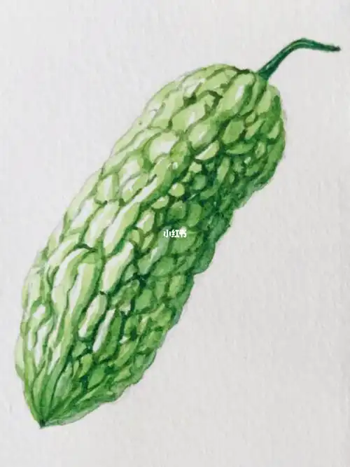 方为人上人…嘻嘻…#水彩  #每日一画  #苦瓜  #绿色蔬菜  #有机蔬菜