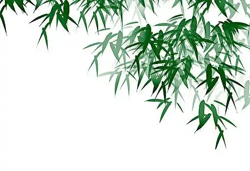 水墨竹子图片