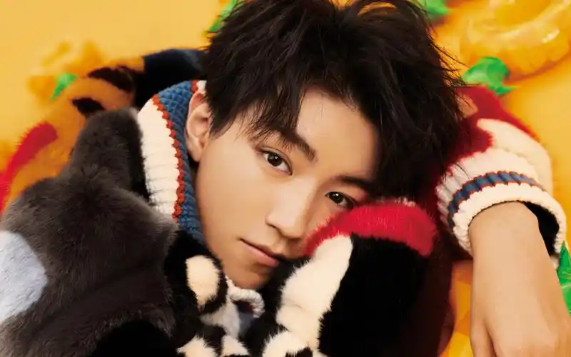 王俊凯帅气写真图片桌面壁纸,大陆明星,时尚,高清,帅气,tfboys,王俊凯