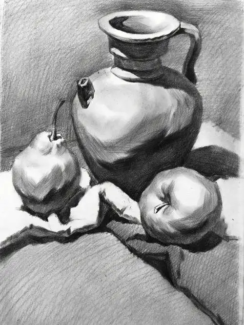 素描静物初步起稿步骤续