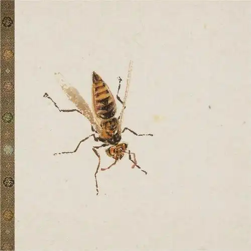 工笔|草虫|绘画_网易订阅