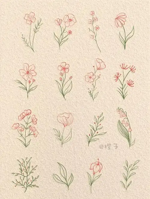 简笔画小花过程