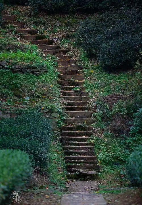 杭州登山徒步路线:问茶古道,可能是最轻松的了,风景还很不错