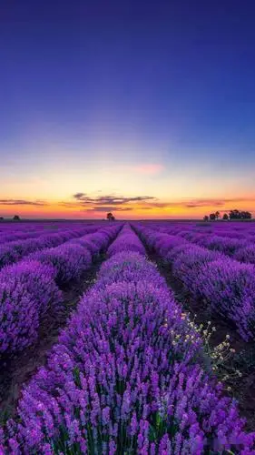 1080_1920竖版 竖屏