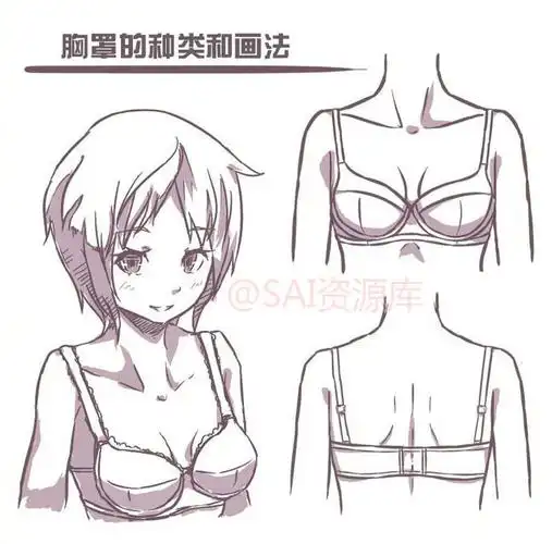 资源君#动漫服装女生胸罩的种类和画法,区别;实用详细,值得借鉴,转需
