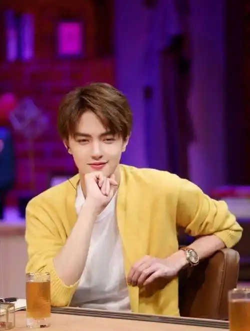 颜值高没有演技也无济于事,官鸿有资源却少了实力_作品_王鹤棣_成化