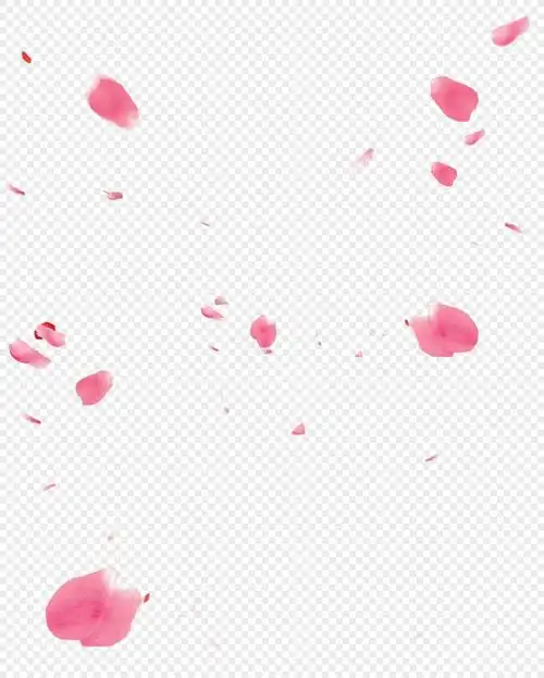 花瓣元素素材png格式_设计素材免费下载_vrf高清图片400798739_摄图网