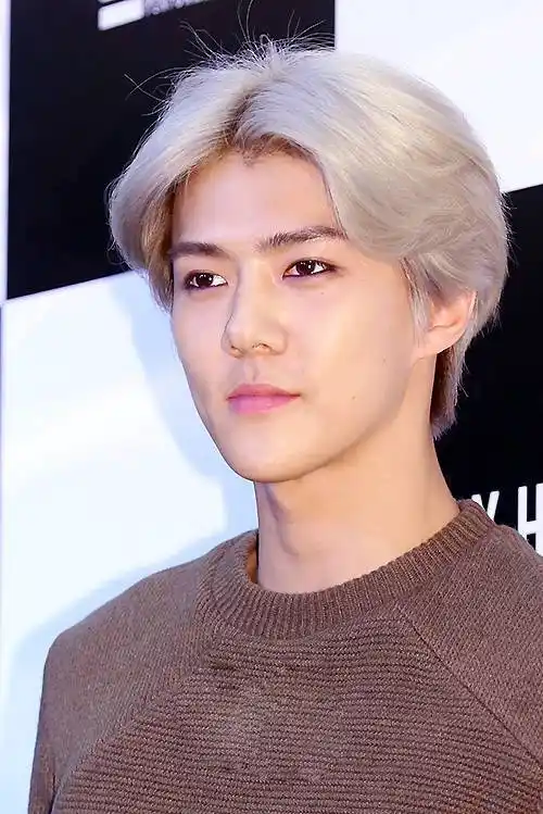 got7王嘉尔exo吴世勋shinee崔珉豪bigbang权志龙 细数韩顶级流量中