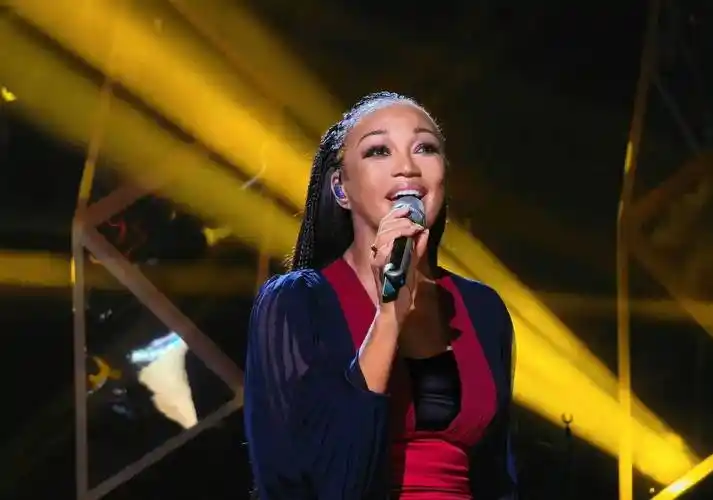 乐评人谈歌手2024外国歌手具有先天优势,华语歌手情感更内敛