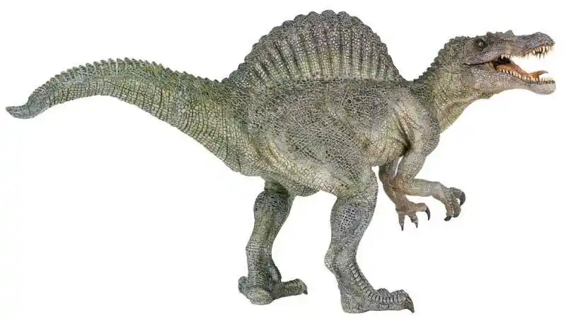 关于棘龙的恐龙资料,图片等百科知识介绍_关于棘龙的恐龙资料,图片等