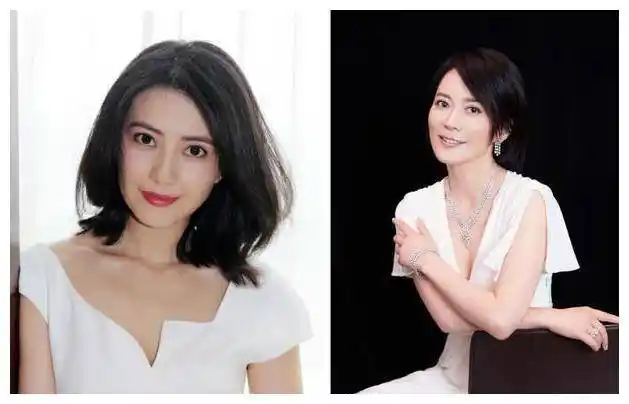 女星俞飞鸿和谁长得像 和惊鸿仙子撞脸的女明星都有谁_温峥嵘_高圆圆