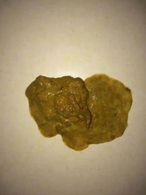 小狗这样的大便算拉稀还是只是软二个月大阿拉斯加 精神还挺好的,明天