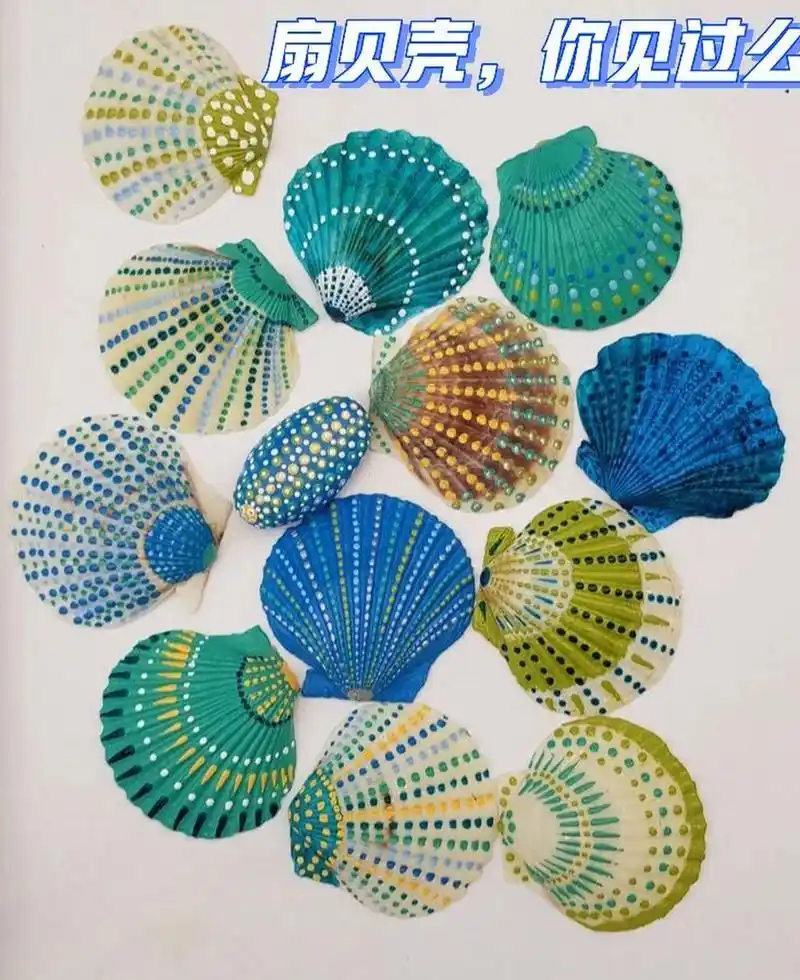 真的美的扇贝壳,你见过么? #画画# #diy手工制作# #万物皆可画