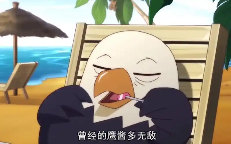 那年那兔:鹰酱又当又立,兔子霸气出击,陆战王者风采