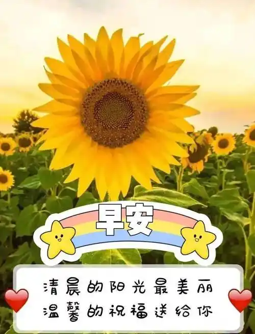 2021秋天祝福大家早上好祝福语录表情图片 秋天特漂亮早上好问候语