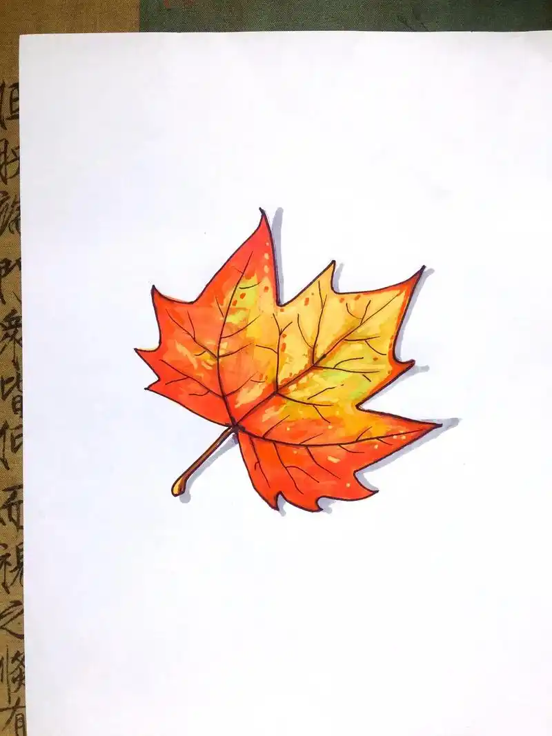 法国梧桐叶子简笔画手抄报素材.