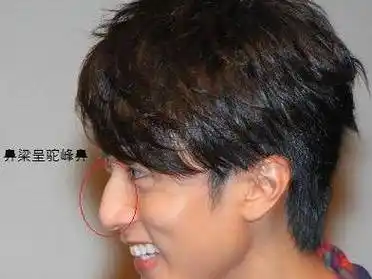 鼻子与个性自我息息相关,他的鼻子呈希腊鼻的特点,也就是属于驼峰鼻