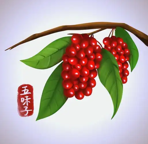 五味子栽培管理的全解析