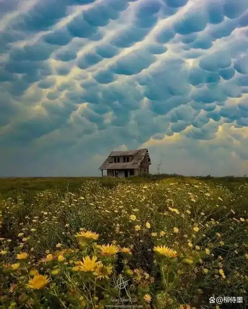 由远到近的,还逐渐扩大.好像是"一股烟儿"的,曲里拐弯的云彩.