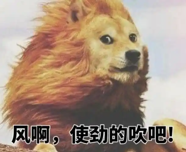 关于风大的搞笑朋友圈说说(起大风搞笑发朋友圈的句子)_社区互动_开创