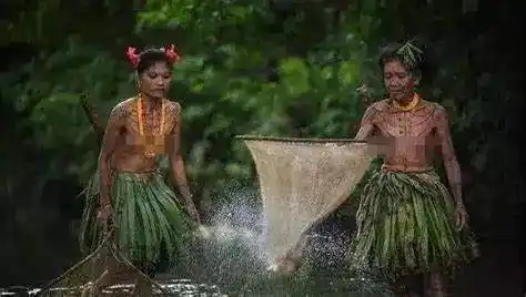 哪怕原始人,也要弄树叶或者兽皮遮住羞处,但猴子就没有这个意识,它们