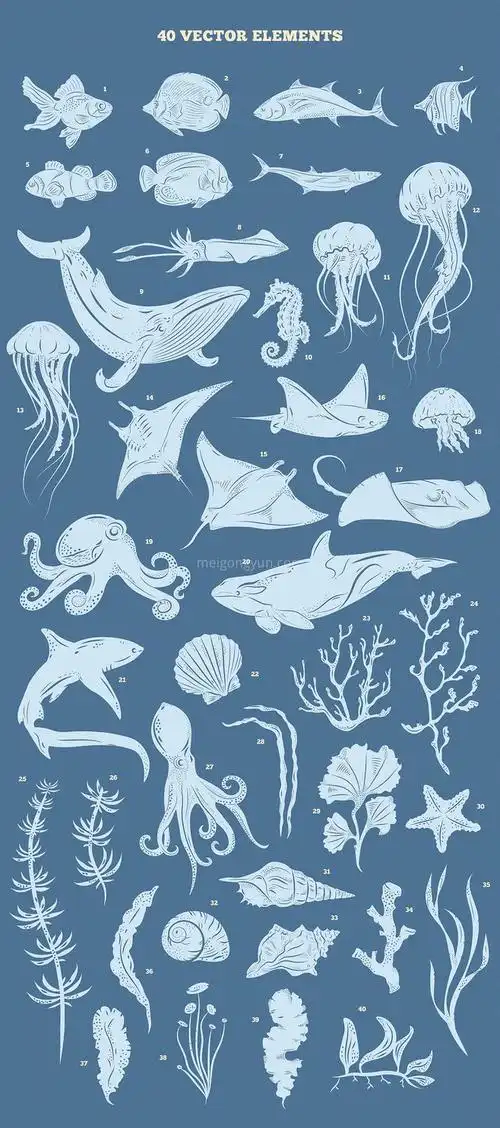 海洋主题矢量海洋动物插画设计素材  un.