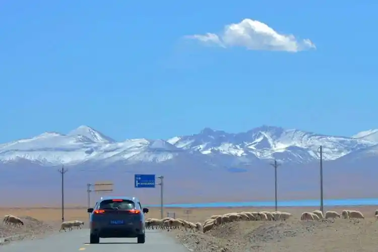 打卡川藏北线g317国道,那曲境内的旖旎胜景_小车_山地区_西藏