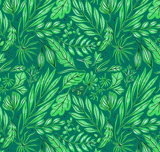 一组植物纹理绘画参考