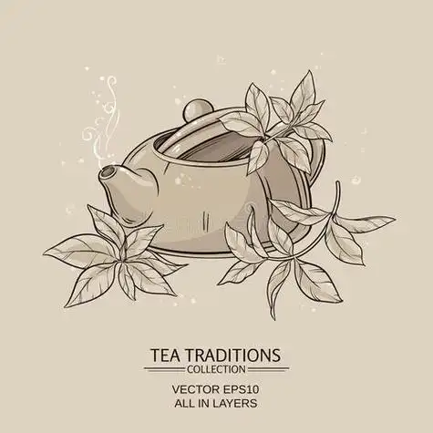 绿茶的简笔画集