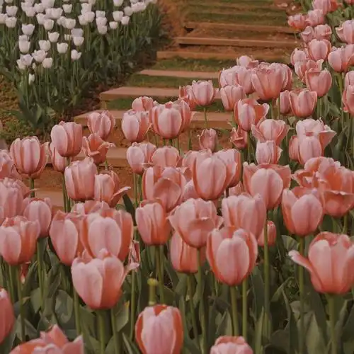 朋友圈背景图高清好看的微信封面图