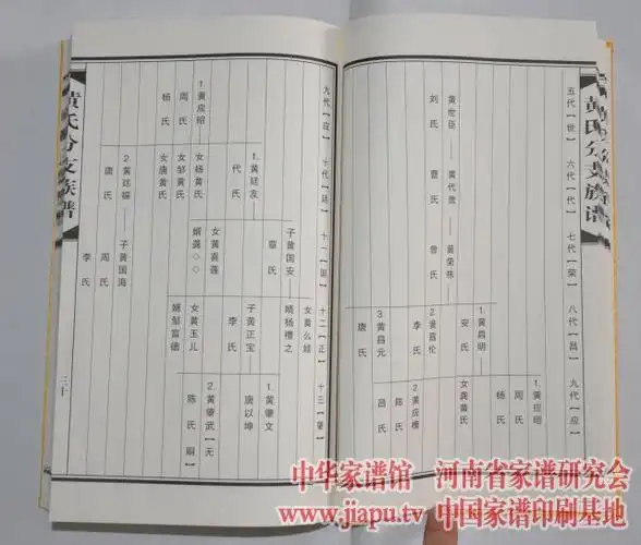 四川省安岳县共和乡黄氏族谱