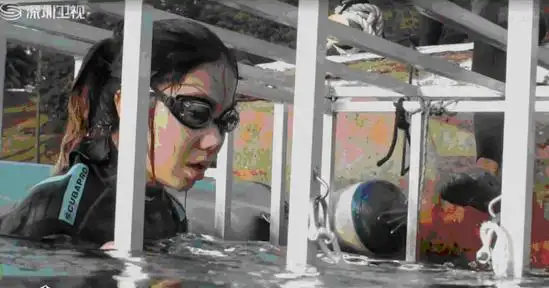 邓紫棋"水下逃生"能力令人惊叹 完爆奥运冠军