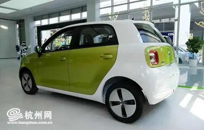 实拍欧拉黑猫,等你来撩!