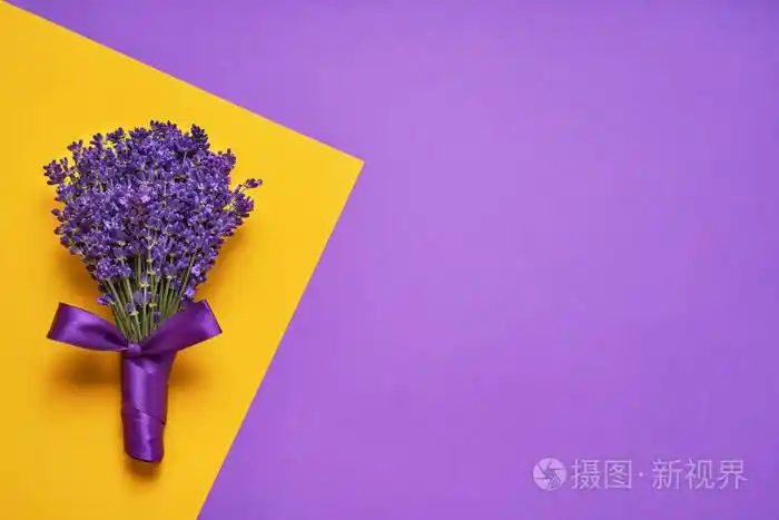 黄紫色背景上的一束薰衣草花顶视图复制空间