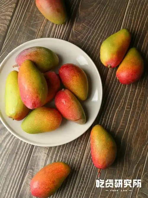 北方人啃冬储白菜的时候南方人在干啥