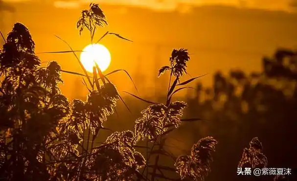 2020清晨的阳光唯美句子清晨的阳光唯美句子朋友圈