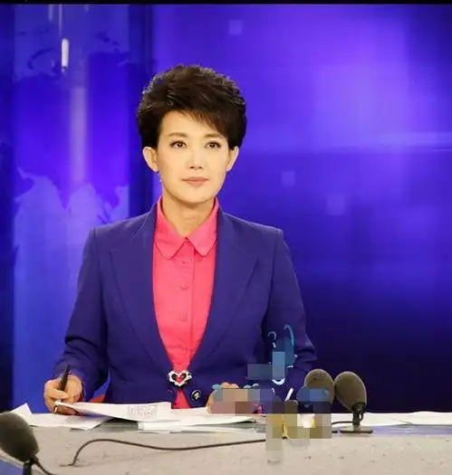 2007年,担任中央电视台新闻资讯节目《新闻30分》的主持人;同年,担任