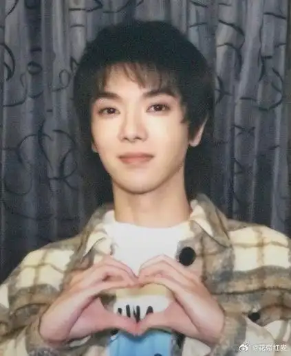 华晨宇火星演唱会#hcy#华晨宇2024向阳而生#|@华晨宇yu    小花比心