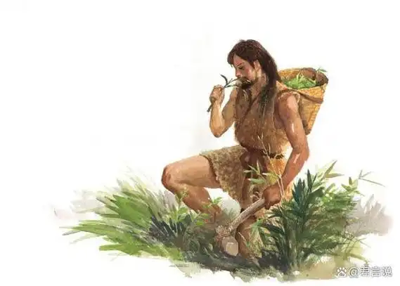 在遥远的古代,人类从原始的群落逐渐演化到氏族公社时期,人们的生活