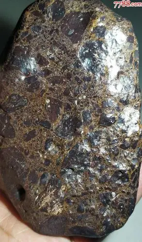 4218新疆哈密棕色大晶格花伊丁陨石陨铁507克