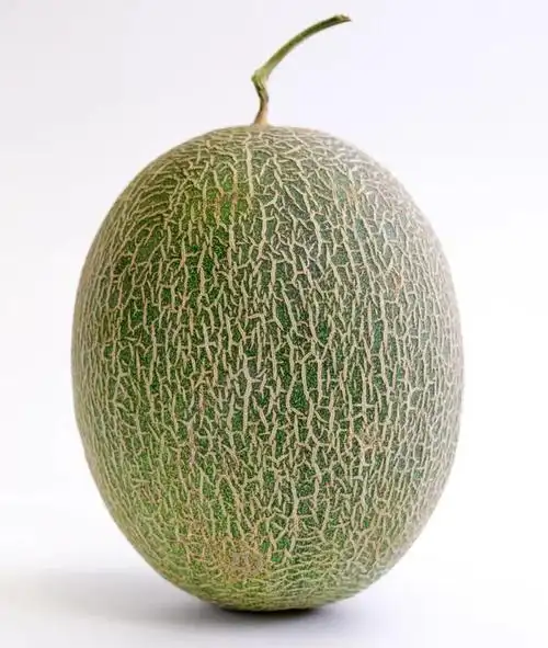 好吃得让人哇哇叫的新疆哈密瓜一碰爆汁口口滴蜜的夏日解暑利器