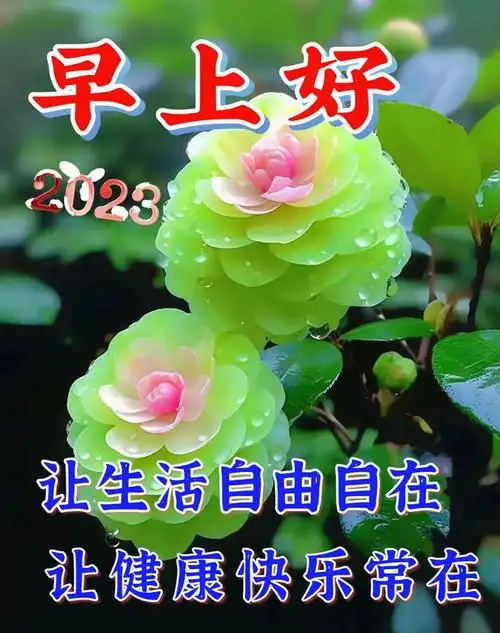 2023年8月12日星期六早上好问候动态表情图片最新版早安问候祝福语