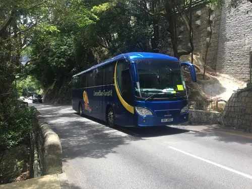 司徒拔道观景台