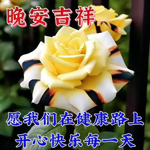 下午好图片带字祝福开心相伴快乐相随